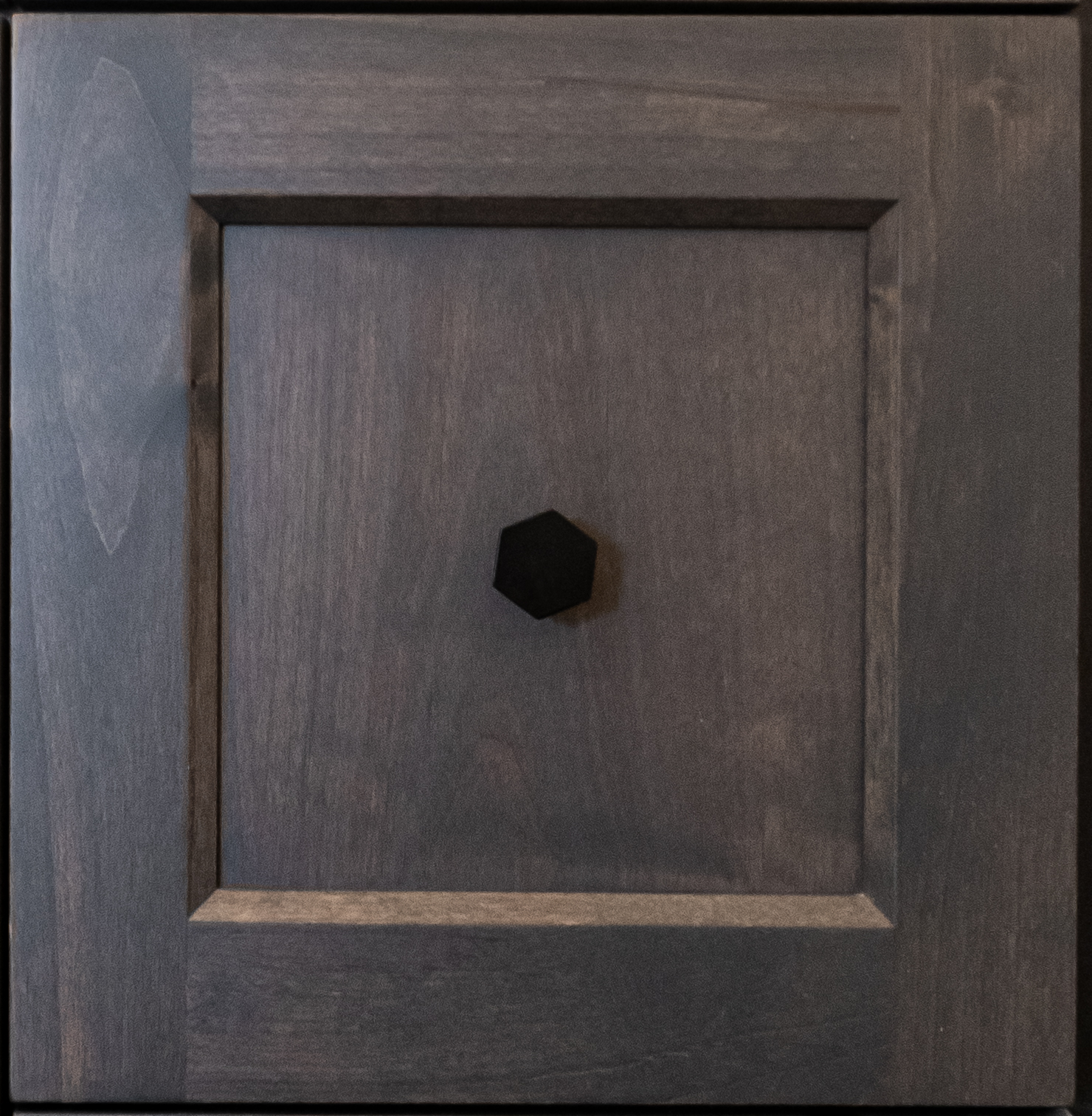 Shaker door
